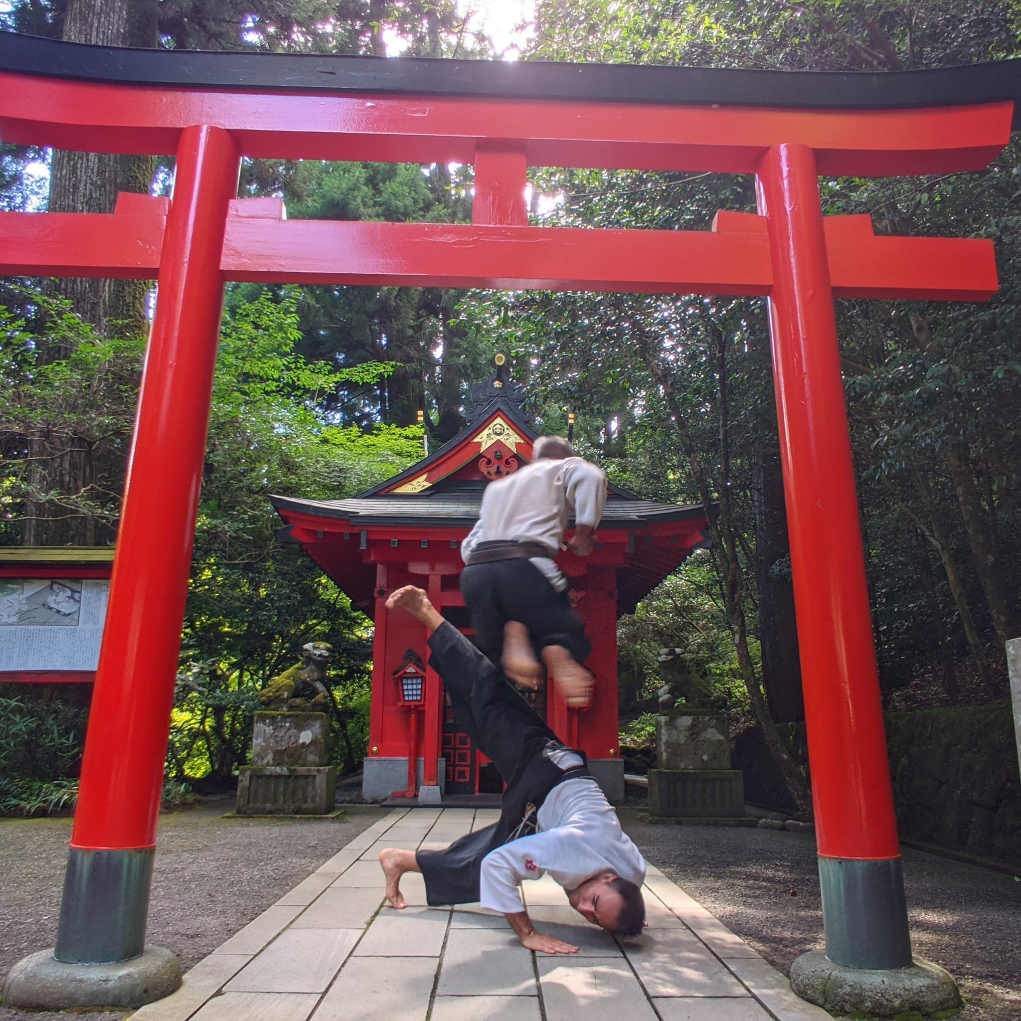 Deux pratiquants de Taido exécutent une technique sous un torii rouge
